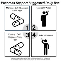 Load image into Gallery viewer, Earth Sana Pancreas Support Suggested Use
